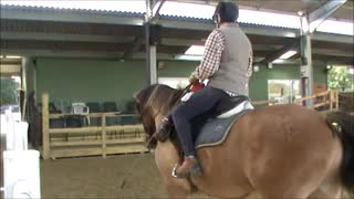 Video Player
